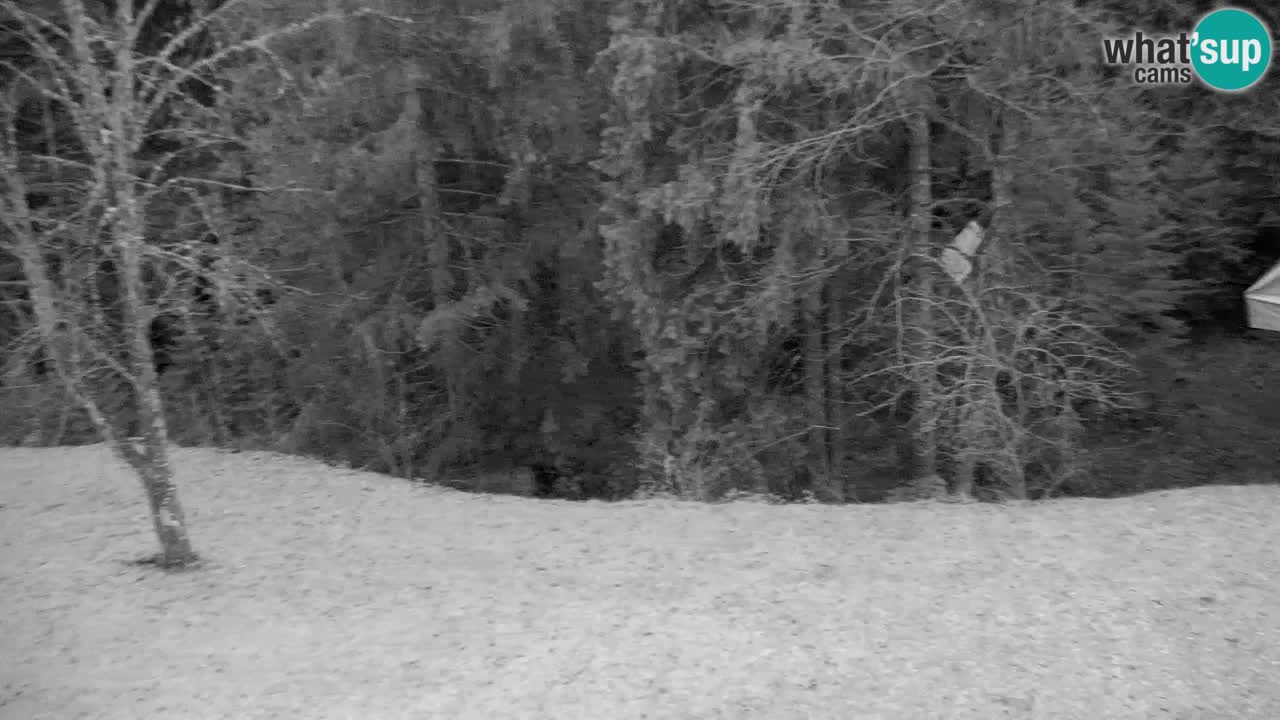 Webcam Lukanja – Water Village | Pohorje Houses