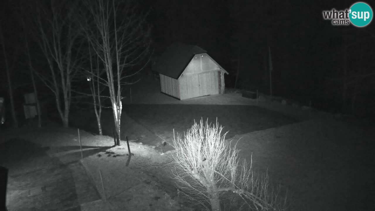 Webcam Lukanja – Water Village | Pohorje Houses