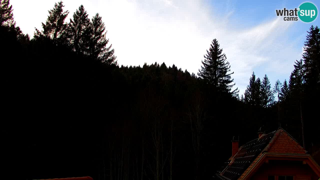 Web kamera Lukanja – Water Village | Pohorje Houses