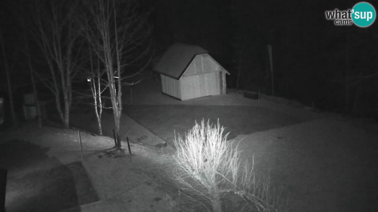 Webcam Lukanja – Pohorje houses a Water village