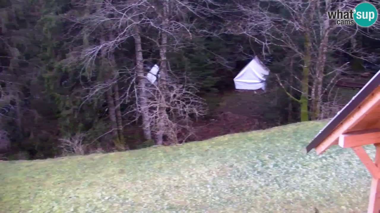 Webcam Lukanja – Water Village | Pohorje Houses