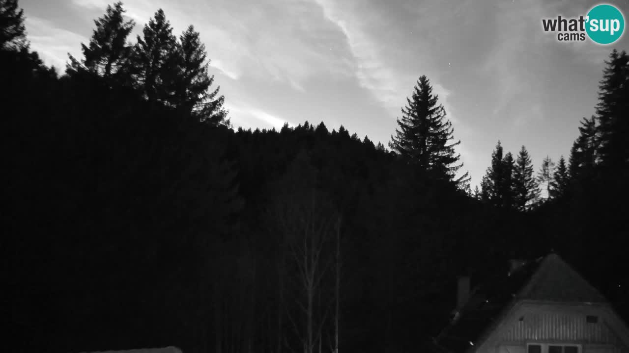 Webcam Lukanja – Water Village | Pohorje Houses