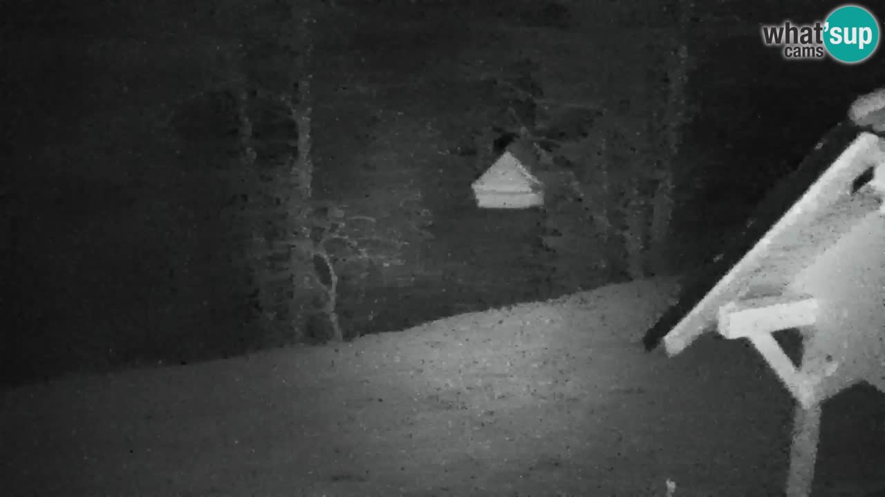 Webcam Lukanja – Pohorje houses a Water village