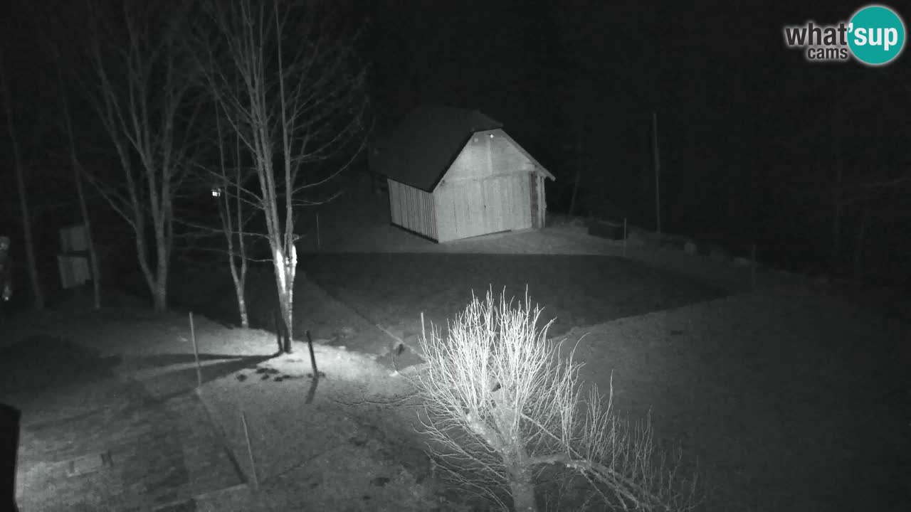 Webcam Lukanja – Pohorje houses a Water village