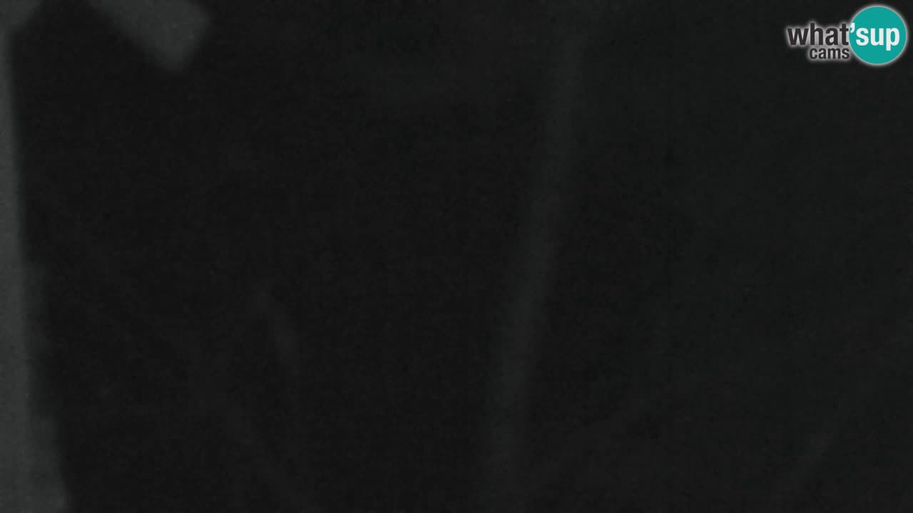 Webcam Lukanja – Pohorje houses a Water village