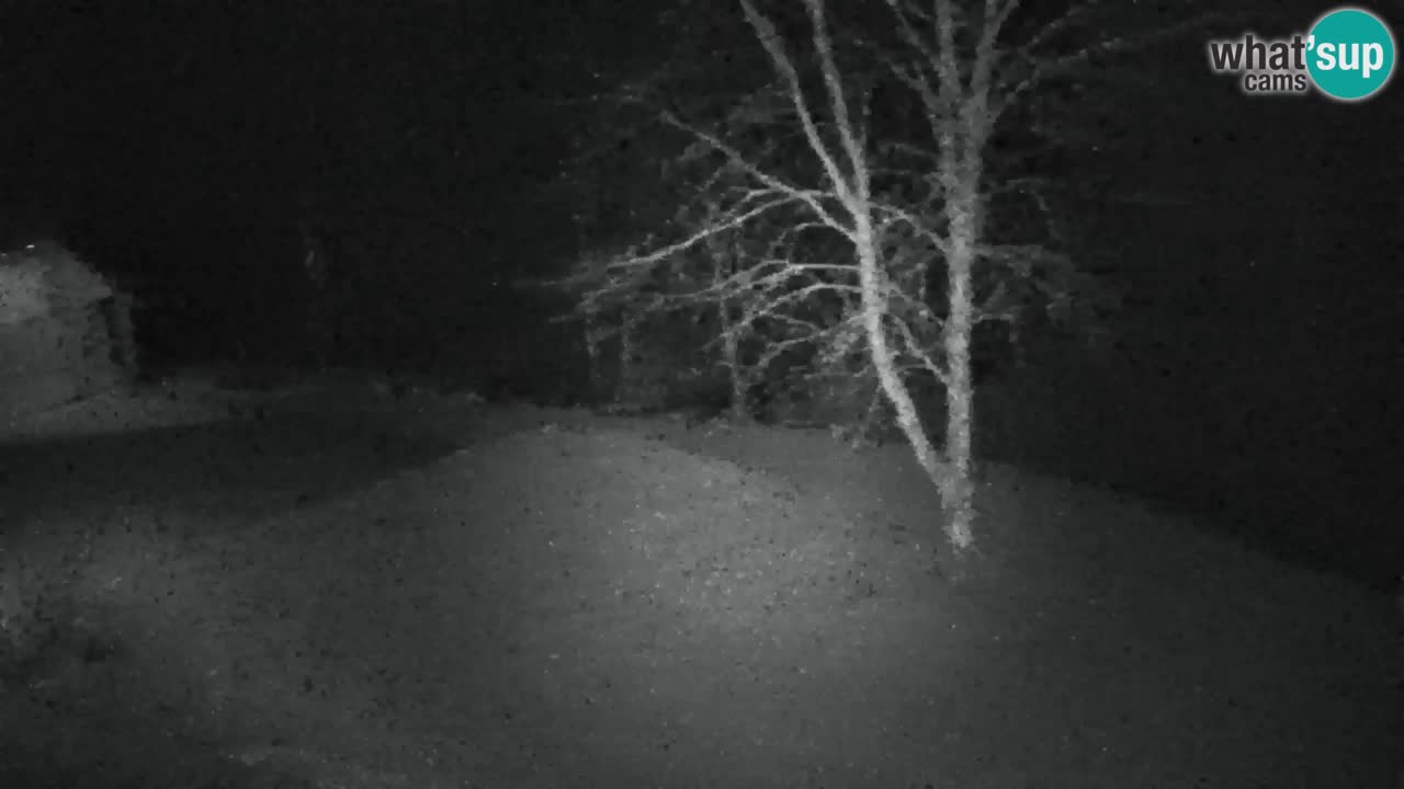 Webcam Lukanja – Pohorje houses a Water village