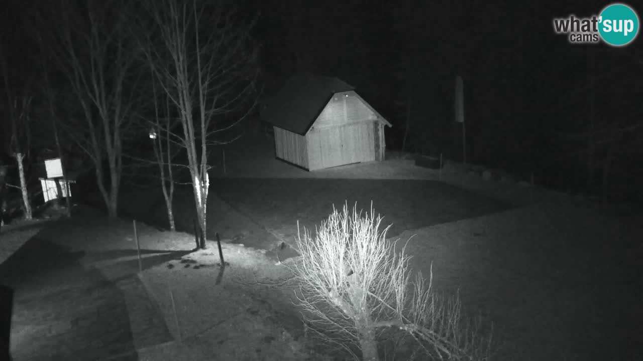 Webcam Lukanja – Water Village | Pohorje Houses