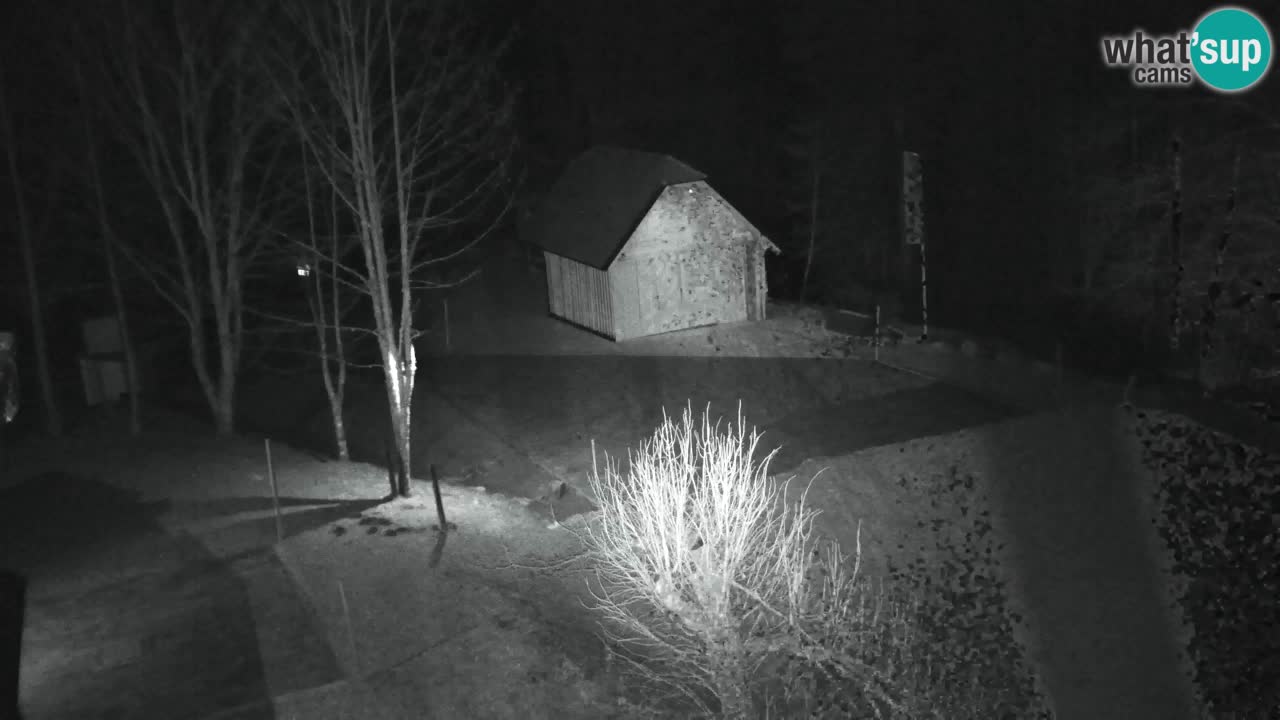 Webcam Lukanja – Pohorje houses a Water village