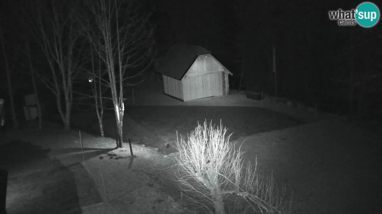 Webcam Lukanja – Pohorje houses a Water village