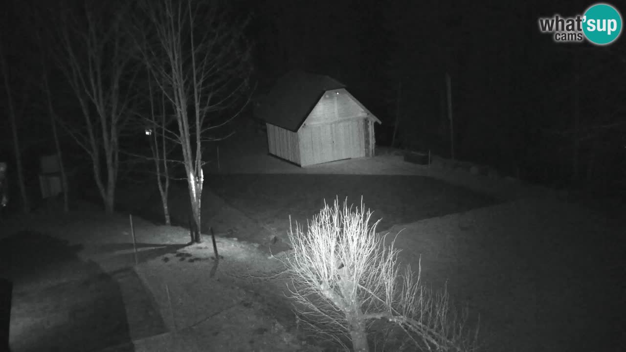 Webcam Lukanja – Water Village | Pohorje Houses