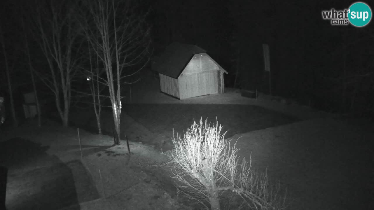 Webcam Lukanja – Water Village | Pohorje Houses