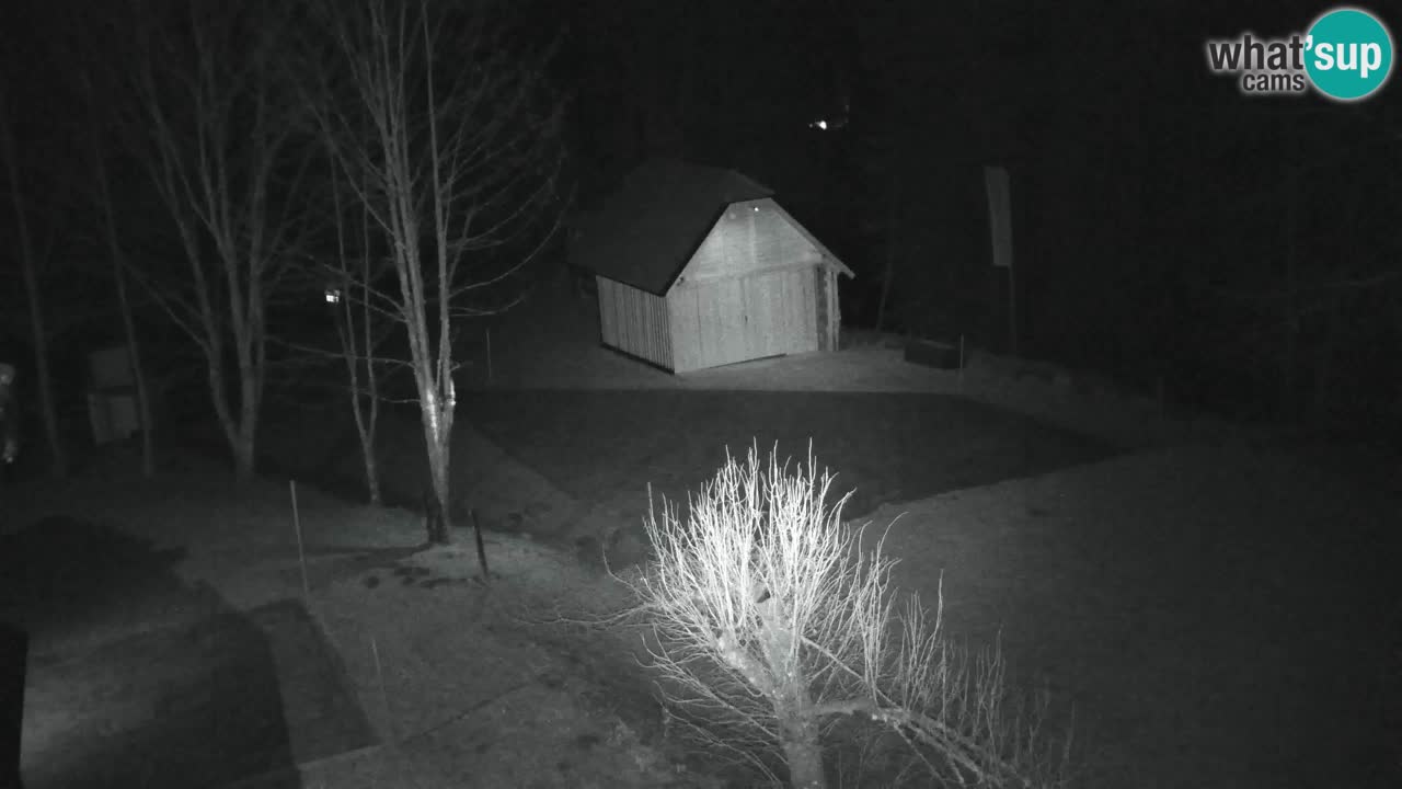 Spletna kamera Lukanja – Water Village | Pohorje Houses