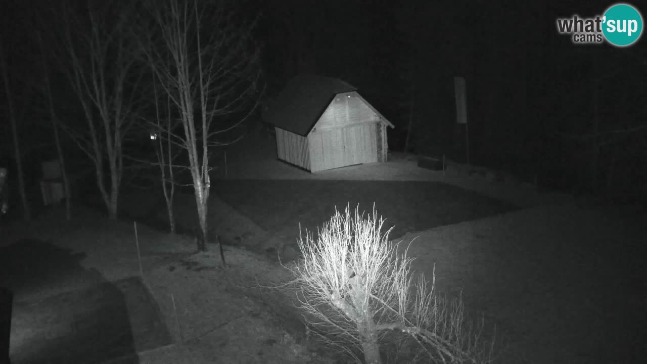 Webcam Lukanja – Pohorje houses a Water village