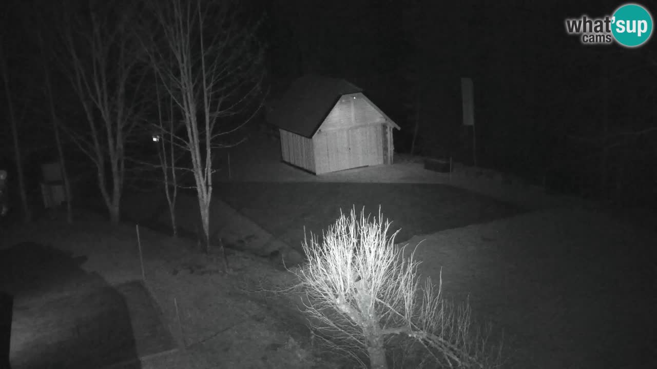 Webcam Lukanja – Pohorje houses a Water village