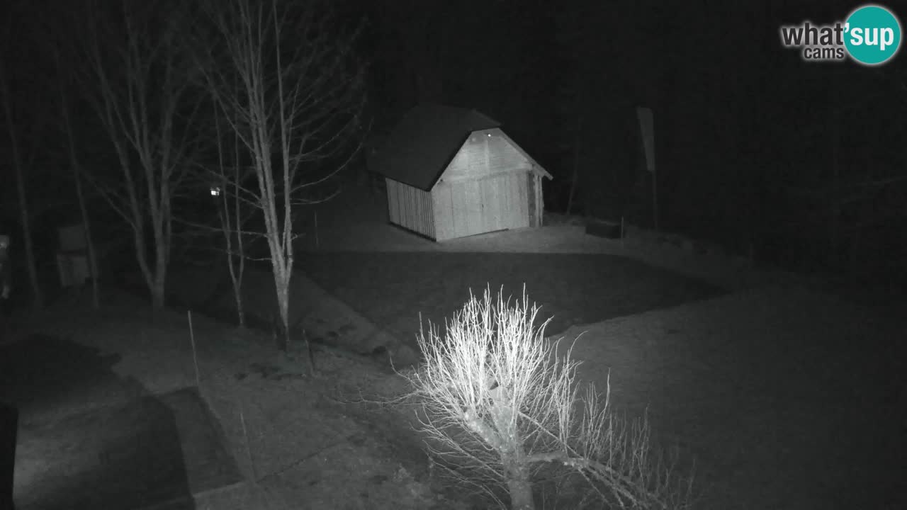 Webcam Lukanja – Pohorje houses a Water village