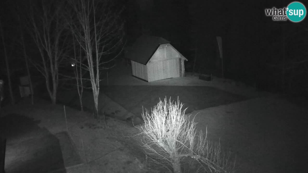 Webcam Lukanja – Pohorje houses a Water village