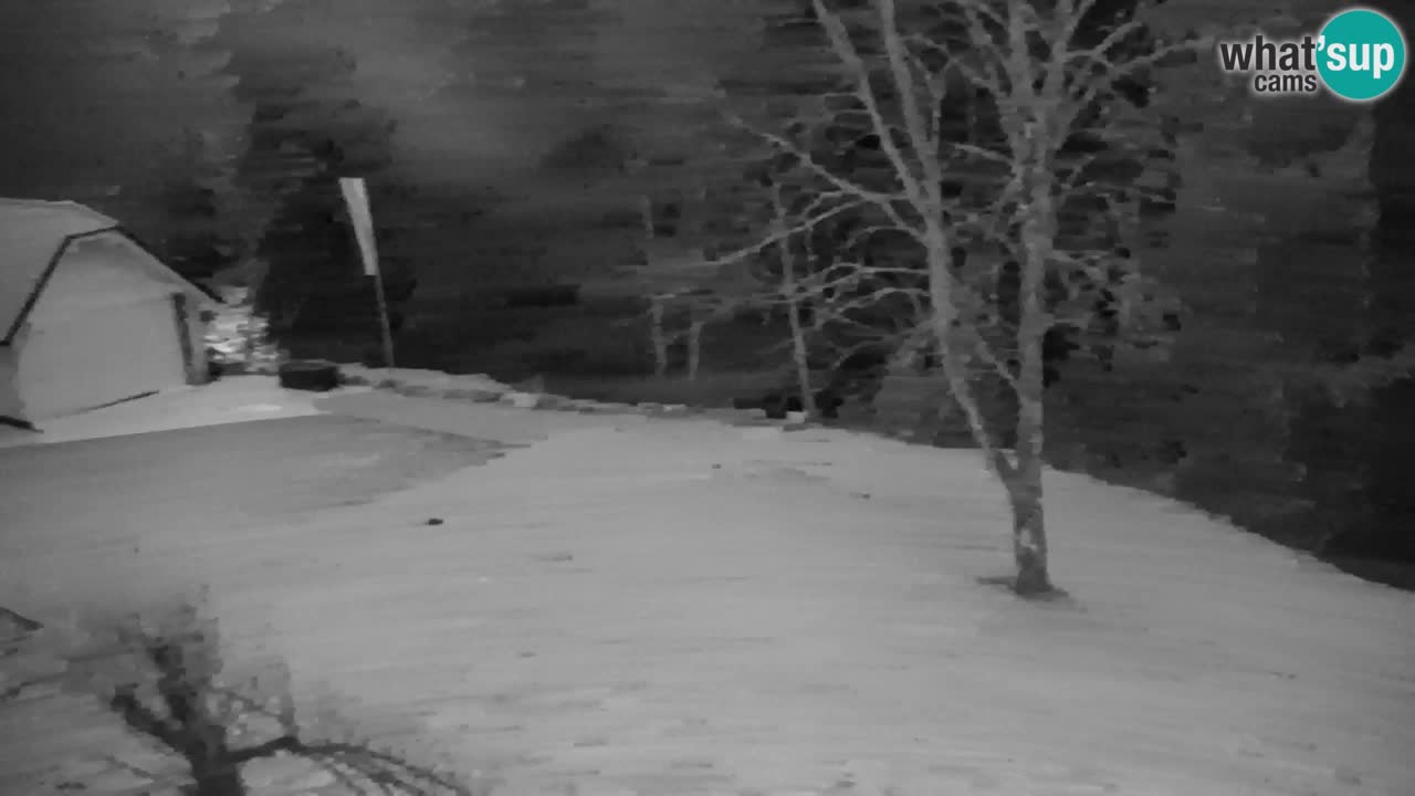 Webcam Lukanja – Water Village | Pohorje Houses