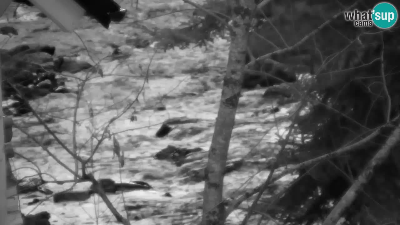 Webcam Lukanja – Water Village | Pohorje Houses