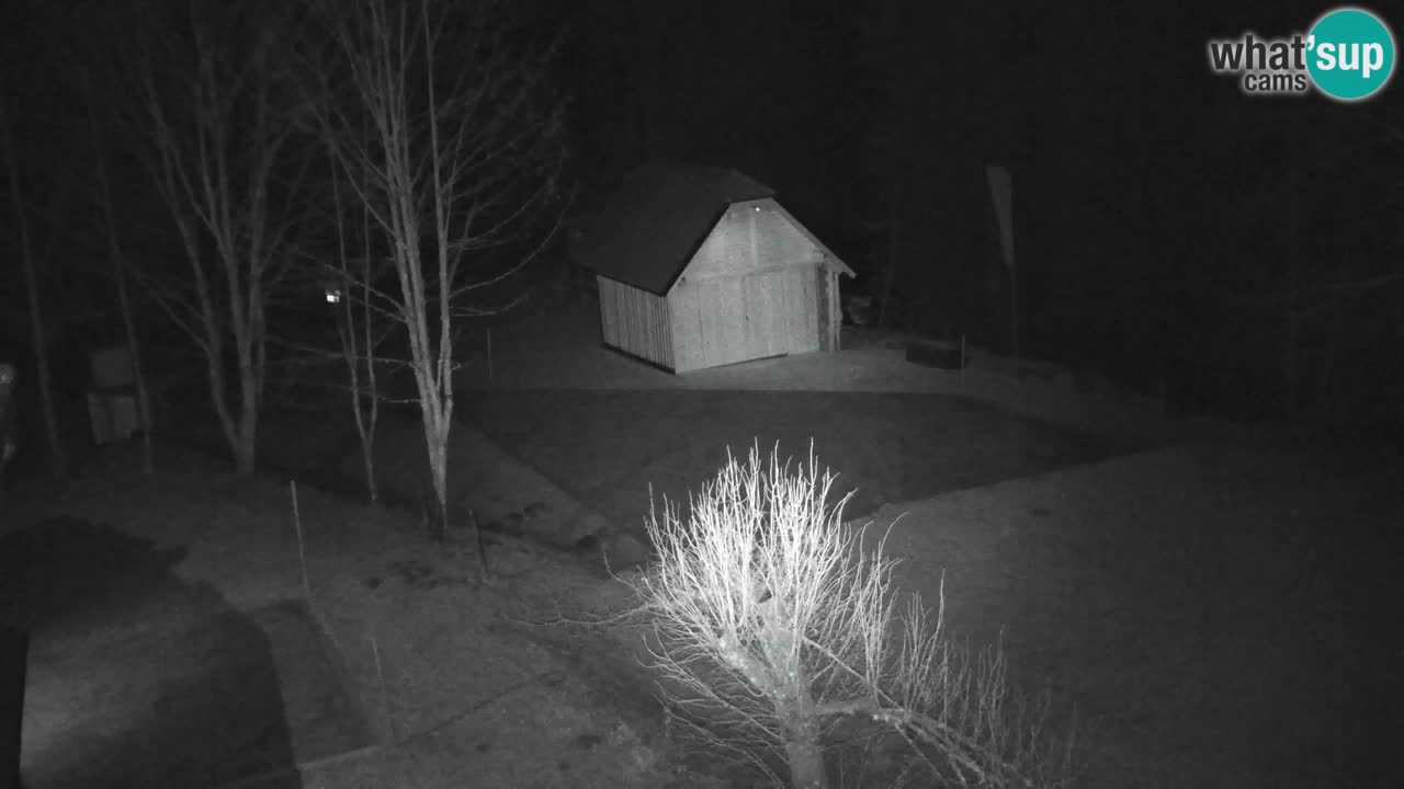 Webcam Lukanja – Water Village | Pohorje Houses