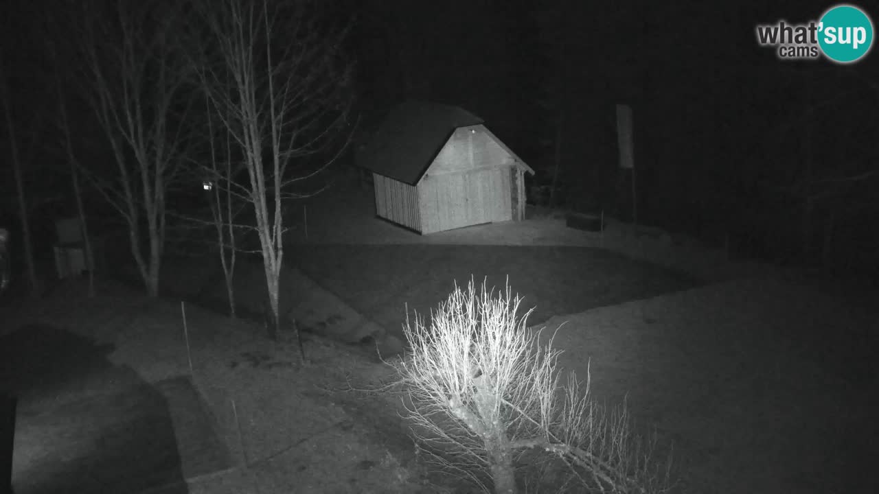 Webcam Lukanja – Water Village | Pohorje Houses