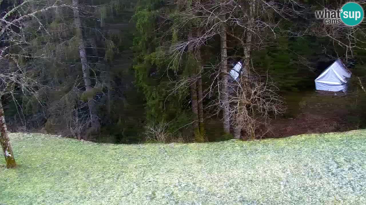 Webcam Lukanja – Water Village | Pohorje Houses