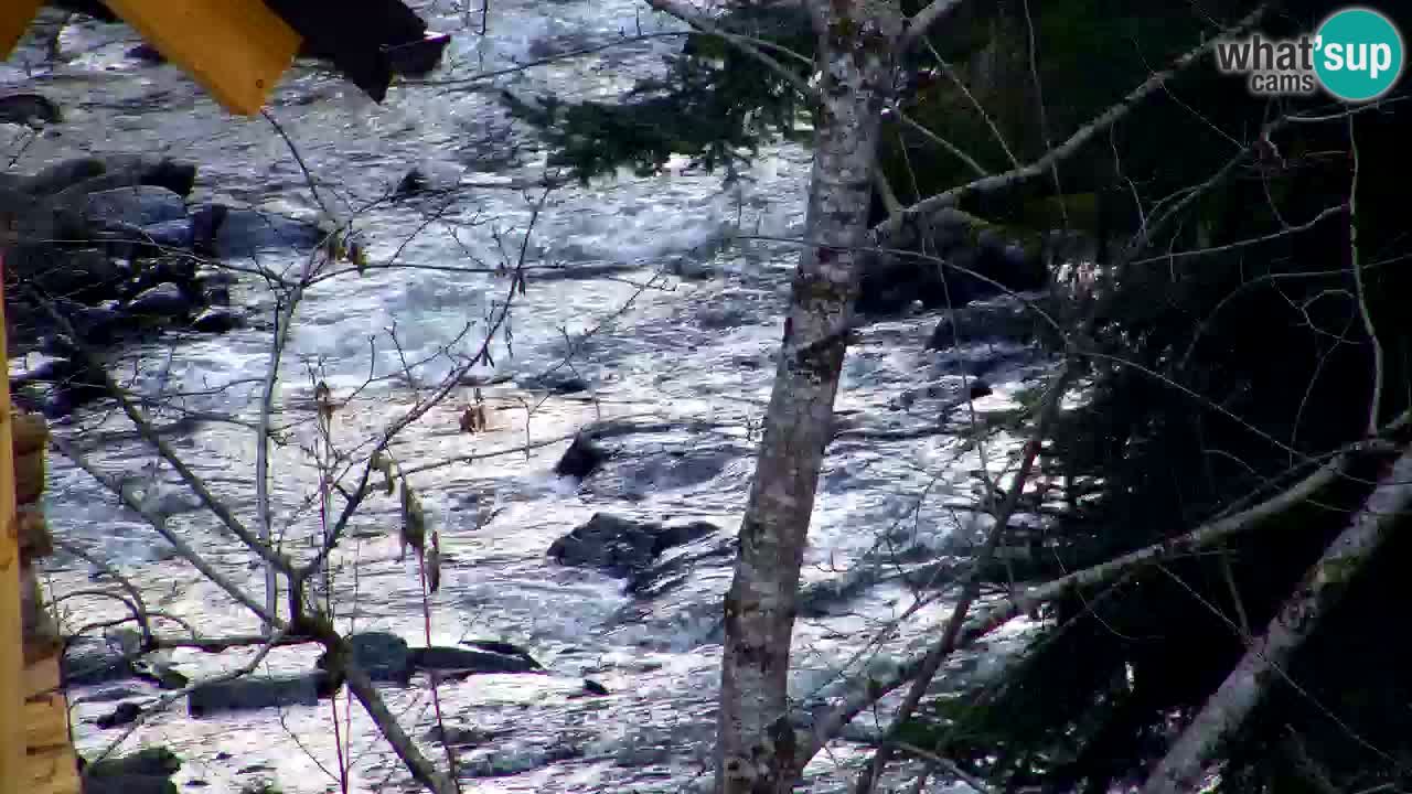 Webcam Lukanja – Pohorje houses a Water village