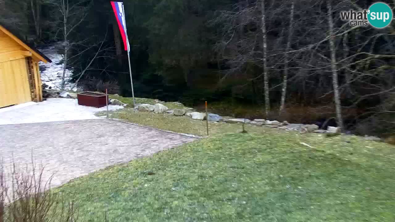 Webcam Lukanja – Pohorje houses a Water village