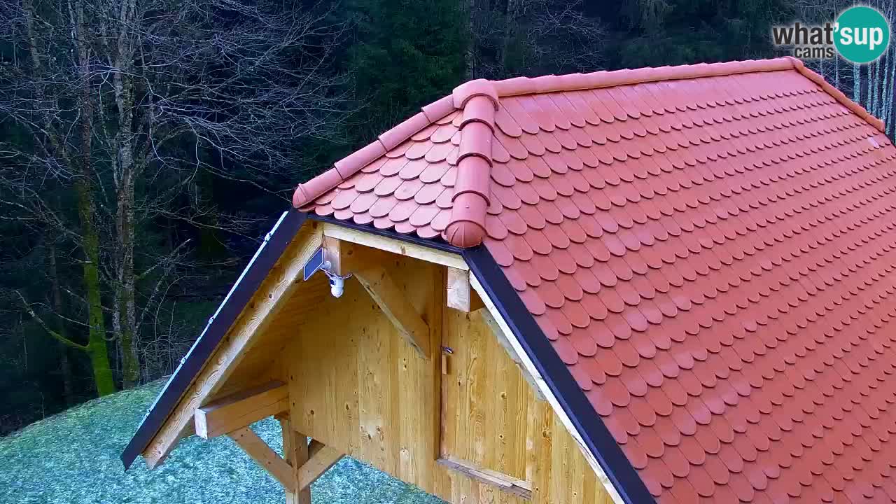 Web kamera Lukanja – Water Village | Pohorje Houses