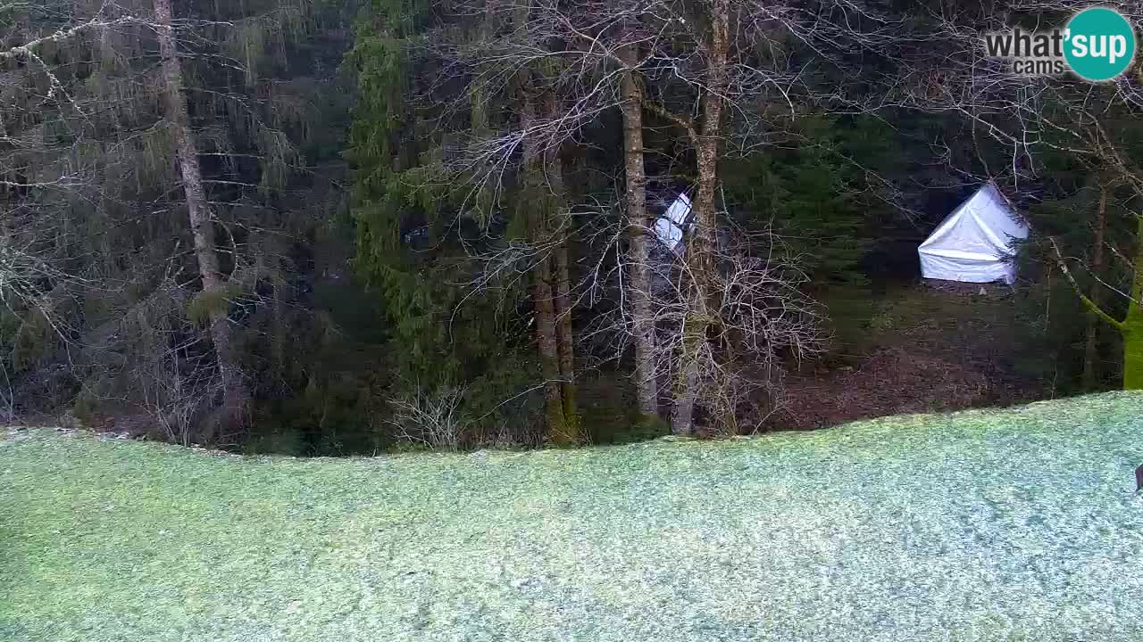 Webcam Lukanja – Pohorje houses a Water village