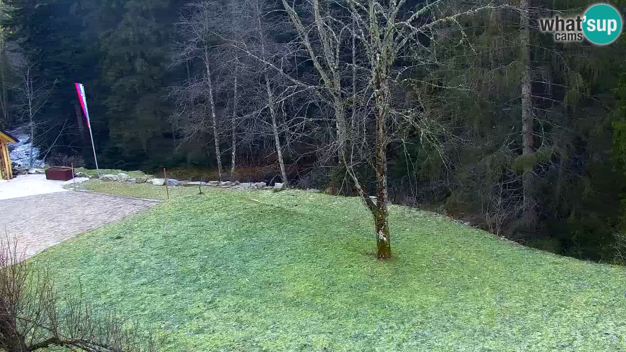 Webcam Lukanja – Water Village | Pohorje Houses