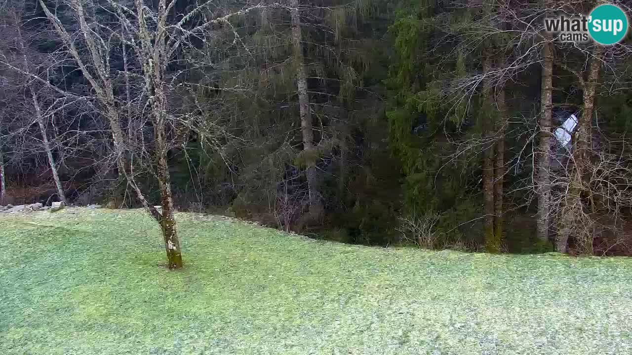 Spletna kamera Lukanja – Water Village | Pohorje Houses