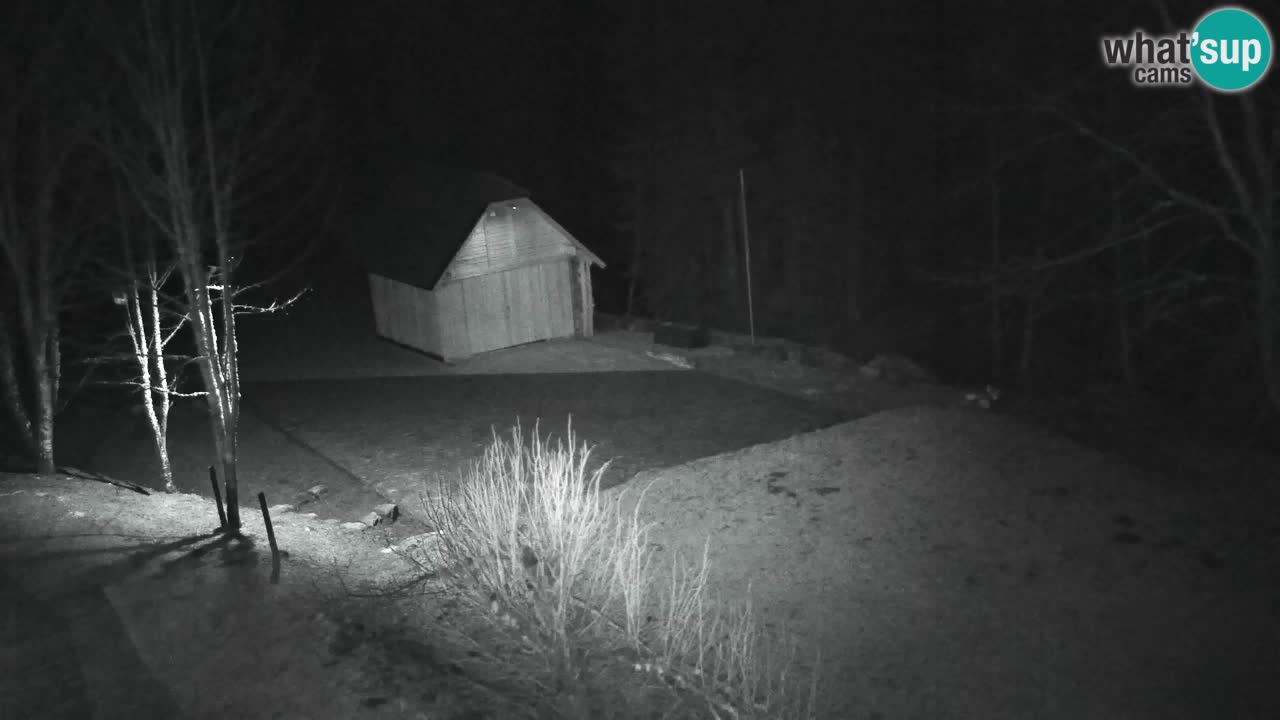 Spletna kamera Lukanja – Water Village | Pohorje Houses