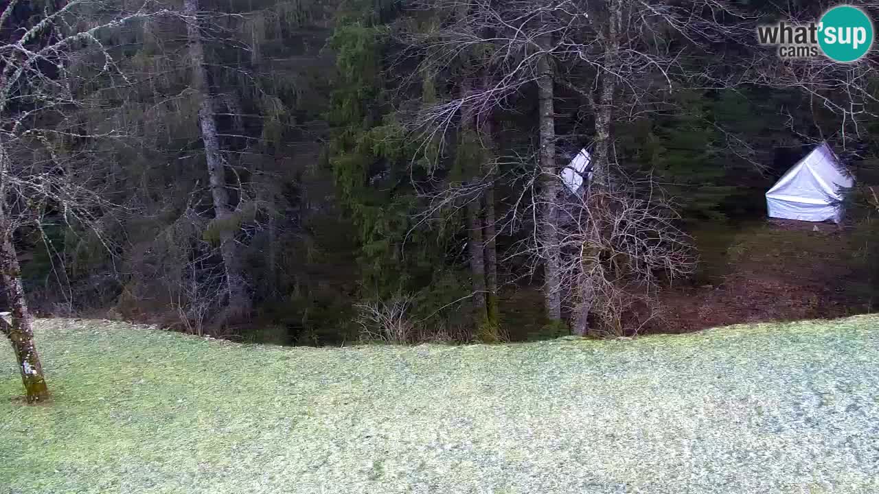 Webcam Lukanja – Pohorje houses a Water village