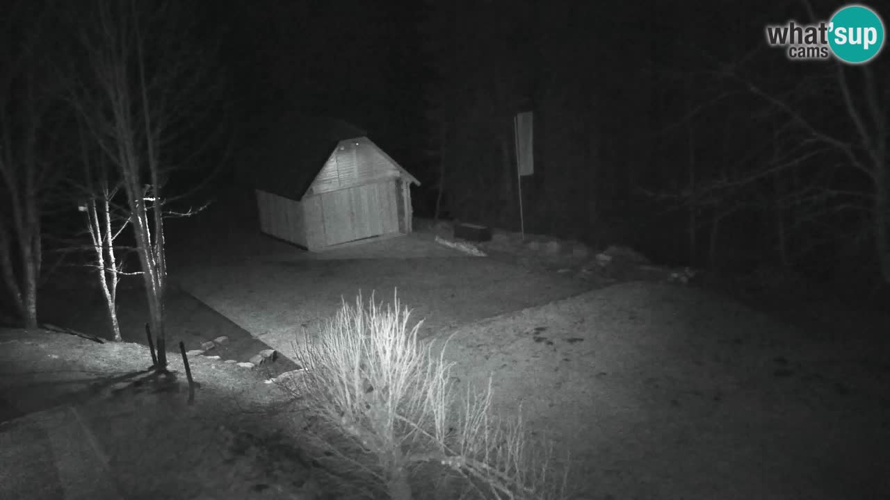 Web kamera Lukanja – Water Village | Pohorje Houses