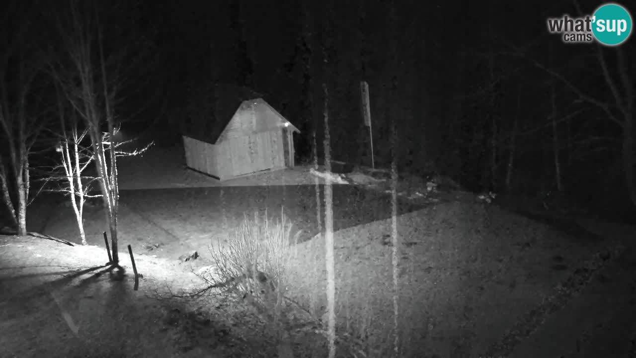 Spletna kamera Lukanja – Water Village | Pohorje Houses