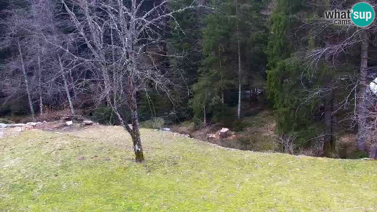 Spletna kamera Lukanja – Water Village | Pohorje Houses