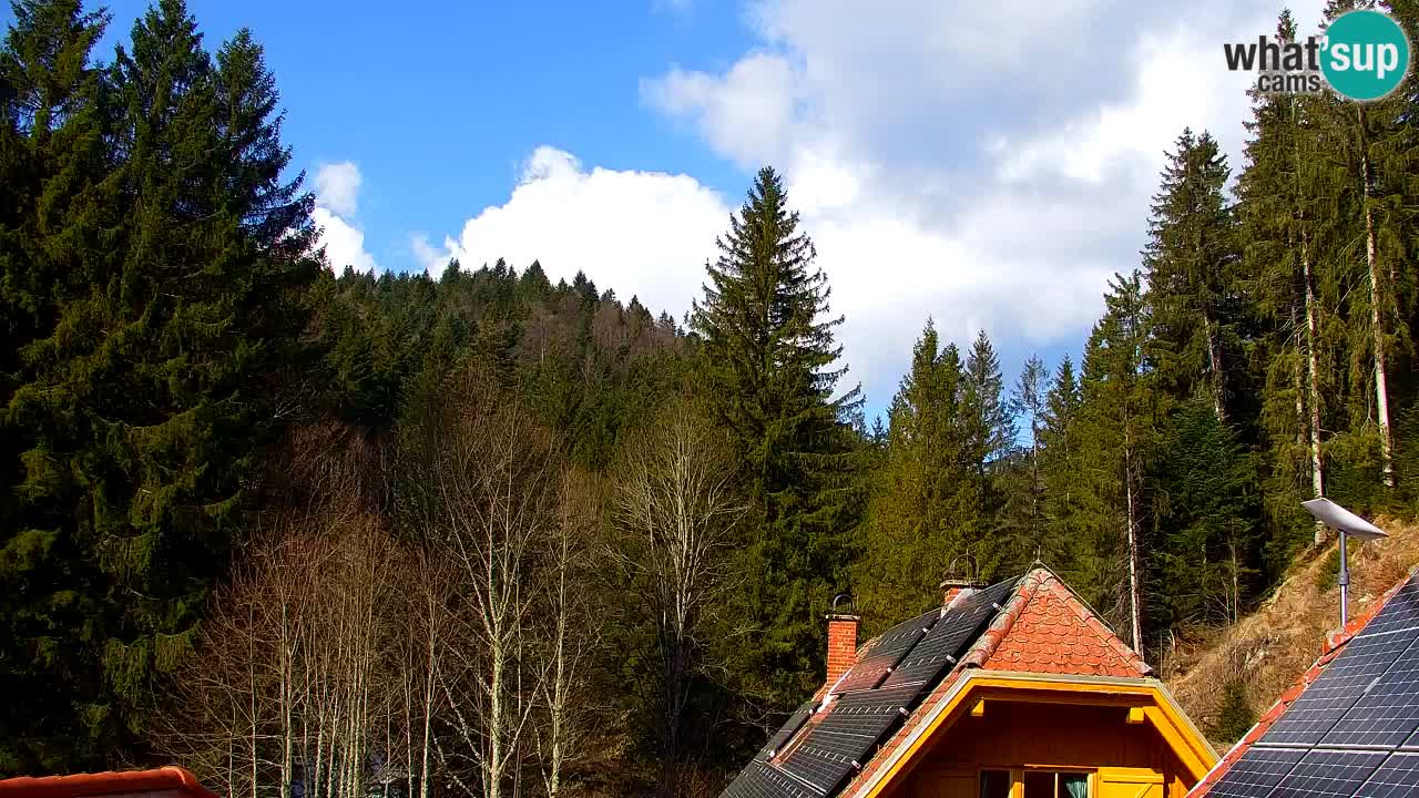 Spletna kamera Lukanja – Water Village | Pohorje Houses