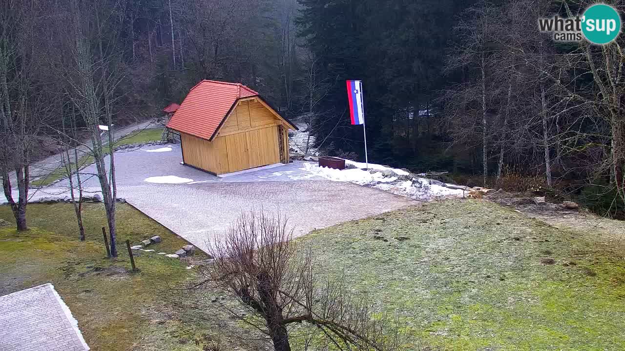 Webcam Lukanja – Pohorje houses a Water village