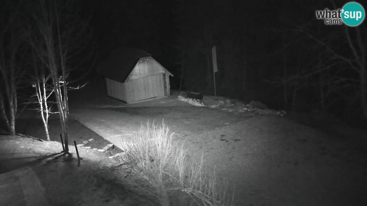 Spletna kamera Lukanja – Water Village | Pohorje Houses