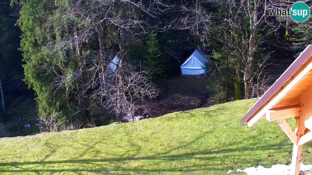 Webcam Lukanja – Water Village | Pohorje Houses