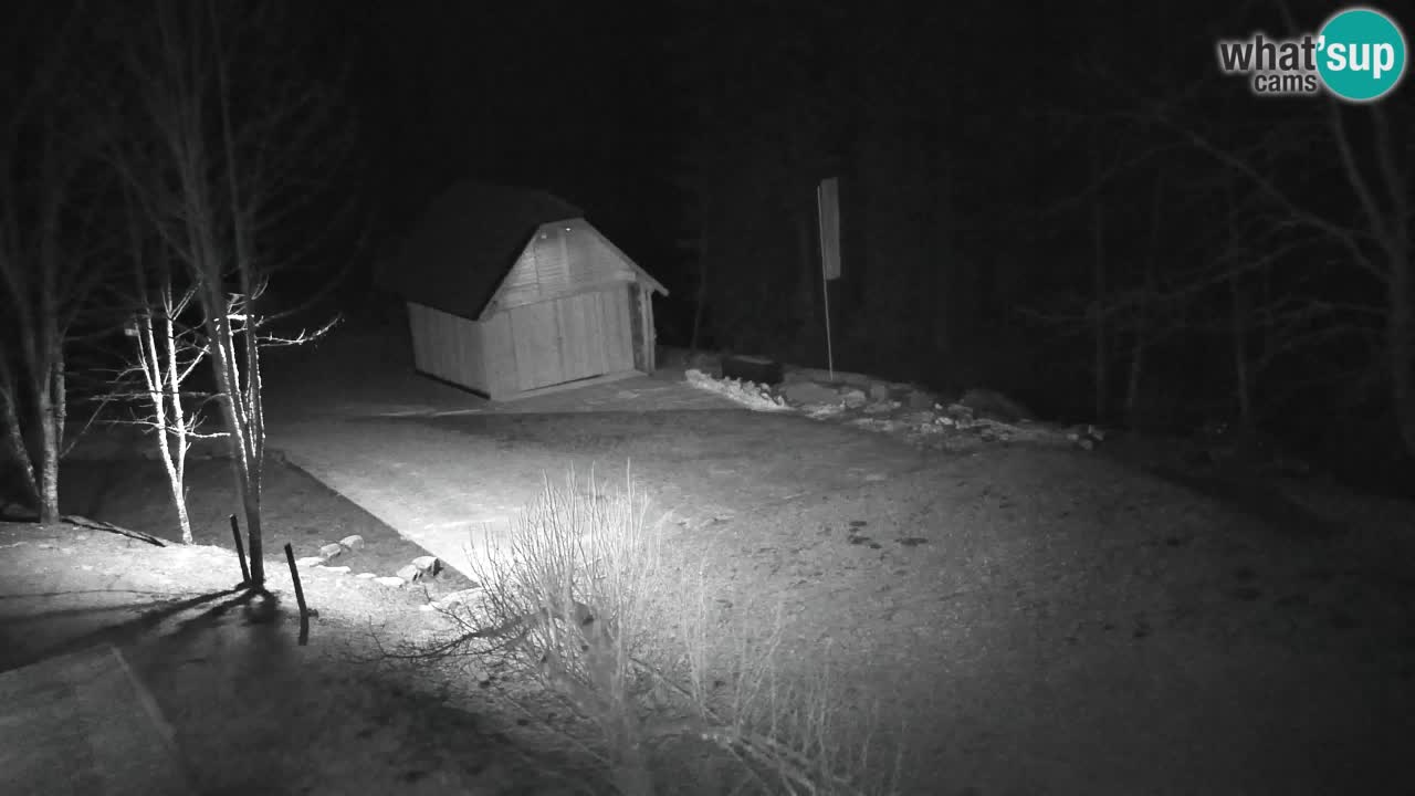 Webcam Lukanja – Pohorje houses a Water village