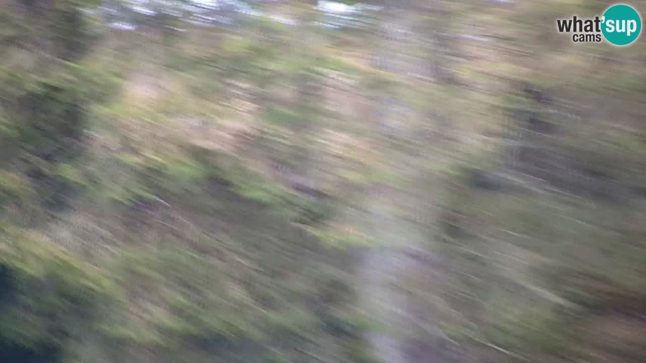 Webcam Lukanja – Water Village | Pohorje Houses