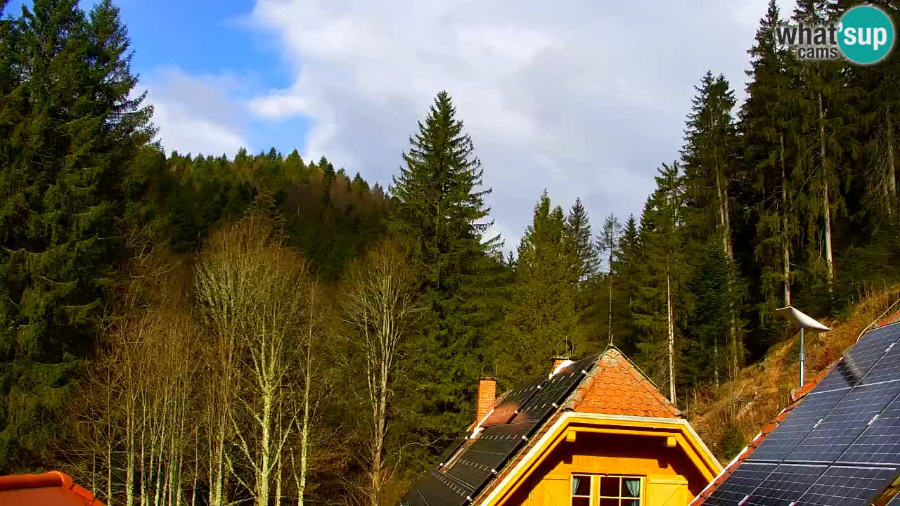 Spletna kamera Lukanja – Water Village | Pohorje Houses