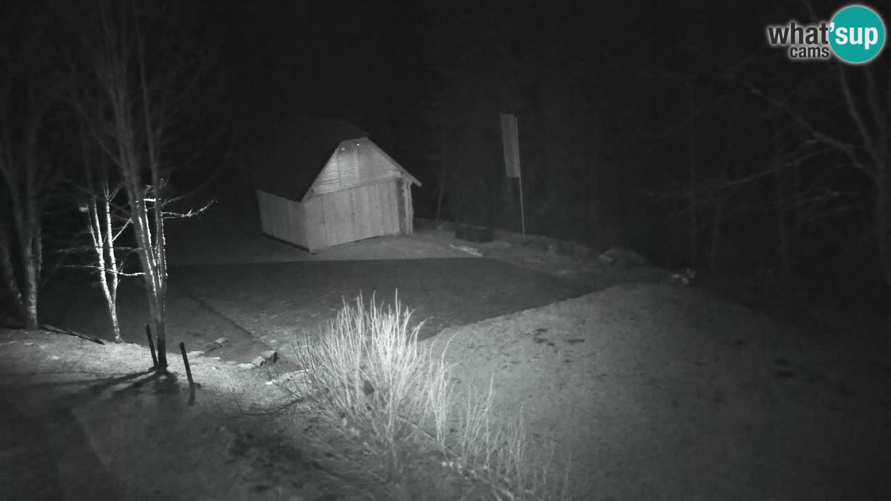 Webcam Lukanja – Water Village | Pohorje Houses