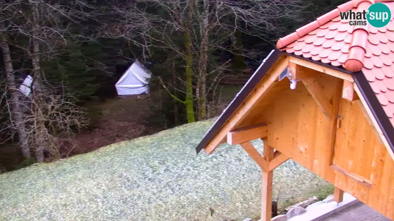 Webcam Lukanja – Water Village | Pohorje Houses