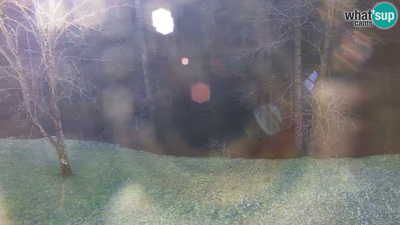 Webcam Lukanja – Water Village | Pohorje Houses