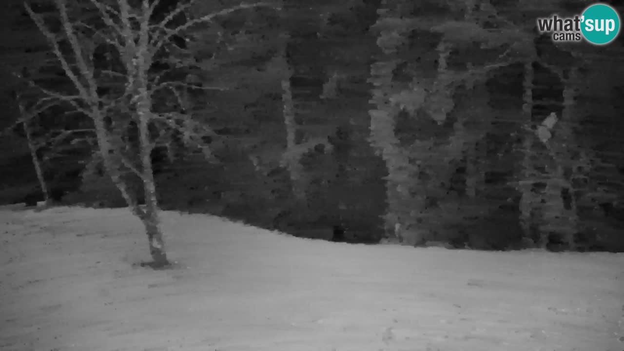 Webcam Lukanja – Pohorje houses a Water village