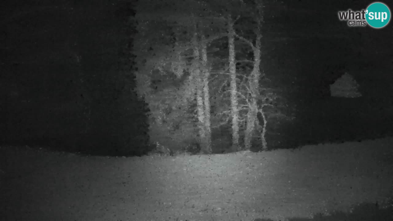 Webcam Lukanja – Water Village | Pohorje Houses