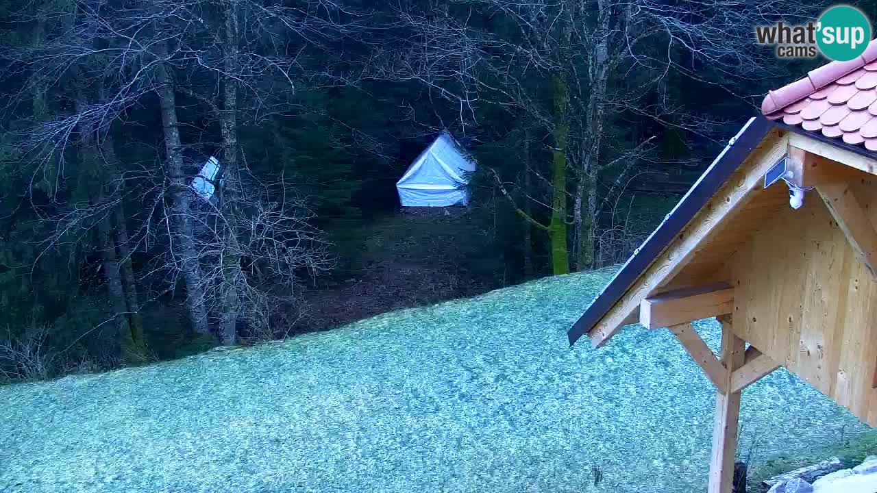 Webcam Lukanja – Pohorje houses a Water village