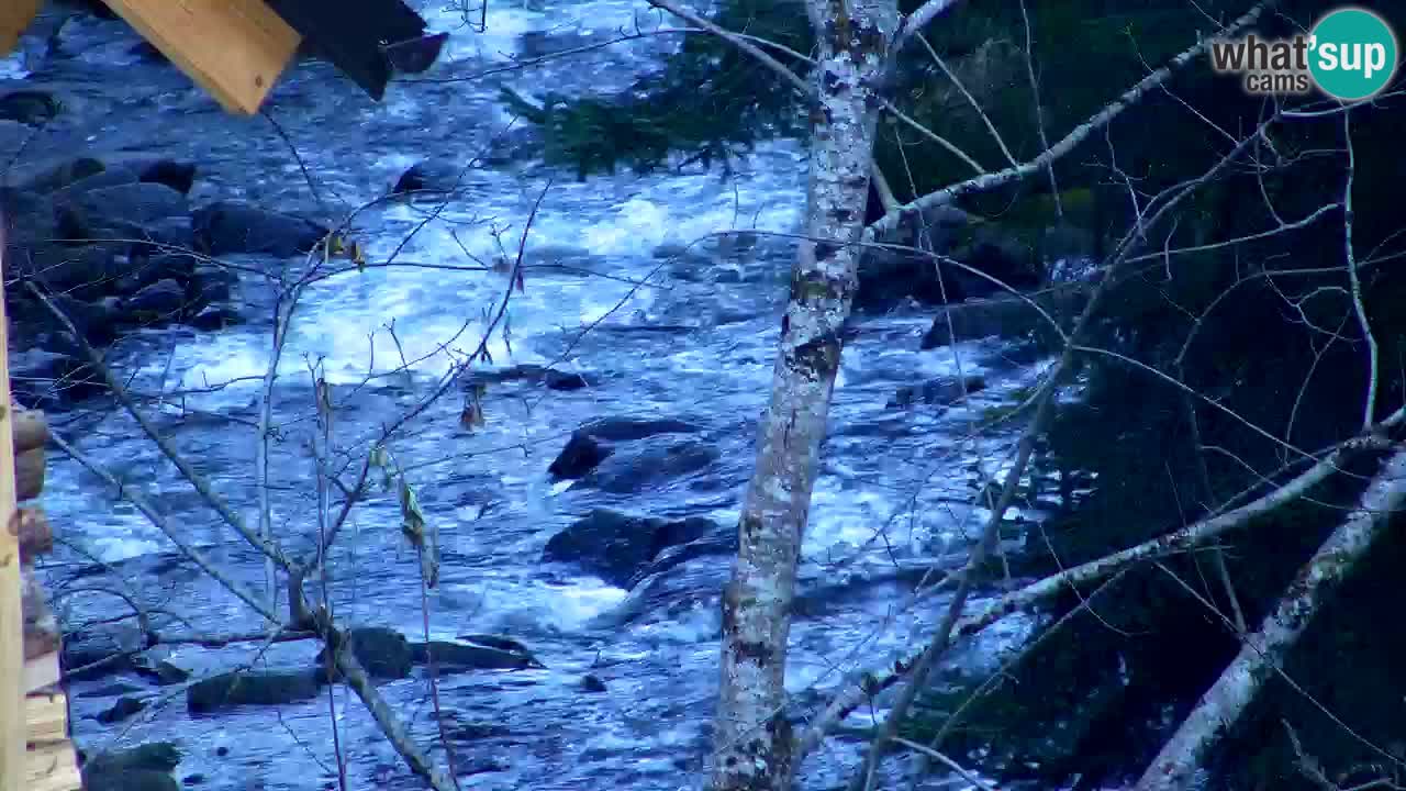 Webcam Lukanja – Pohorje houses a Water village